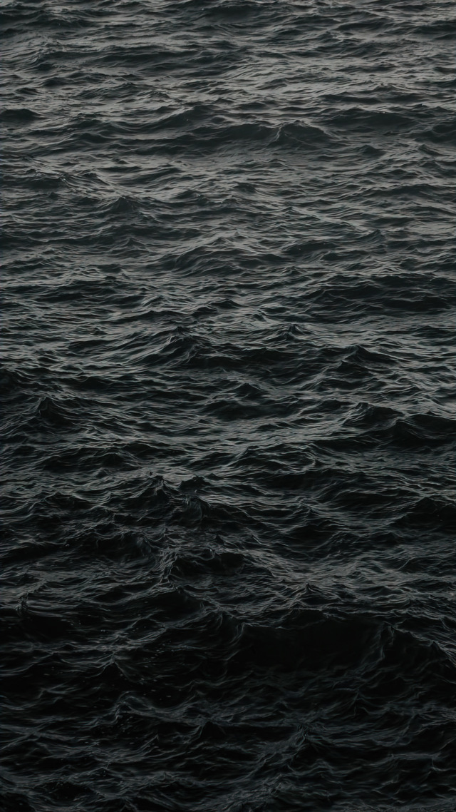 海