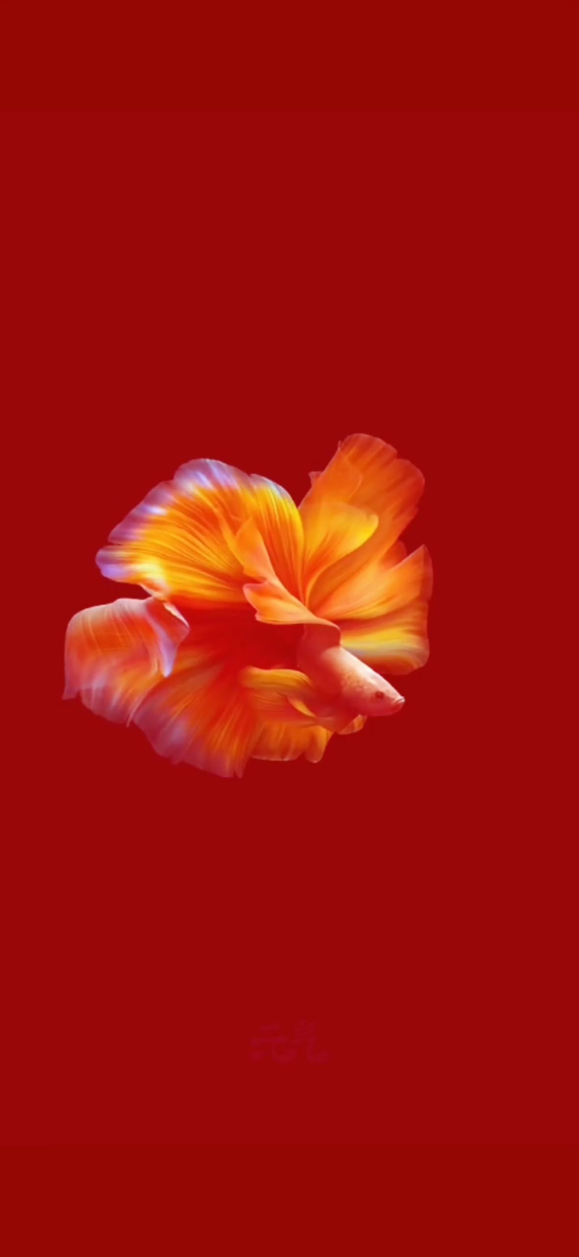 魚