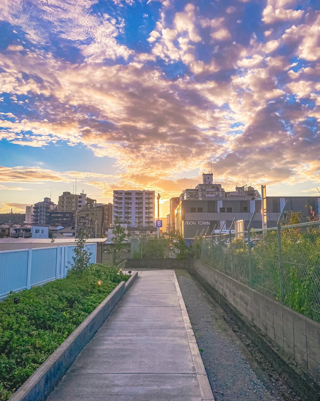 4K唯美小路風景
