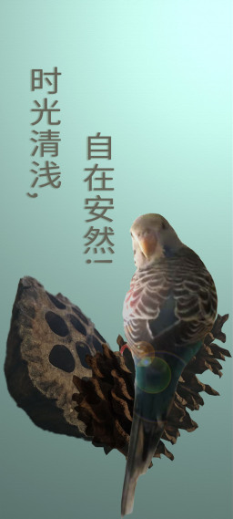 和你一起，把日子过程温柔的诗。