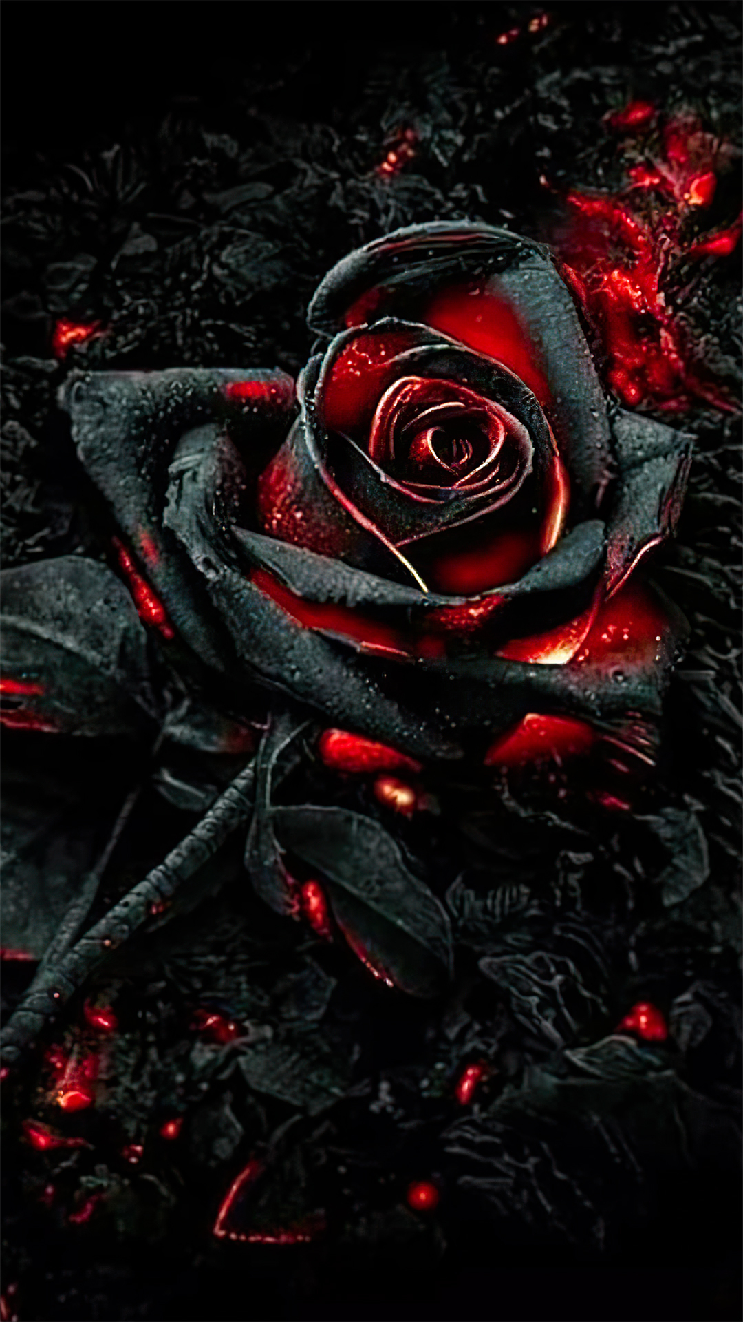 玫瑰花壁纸