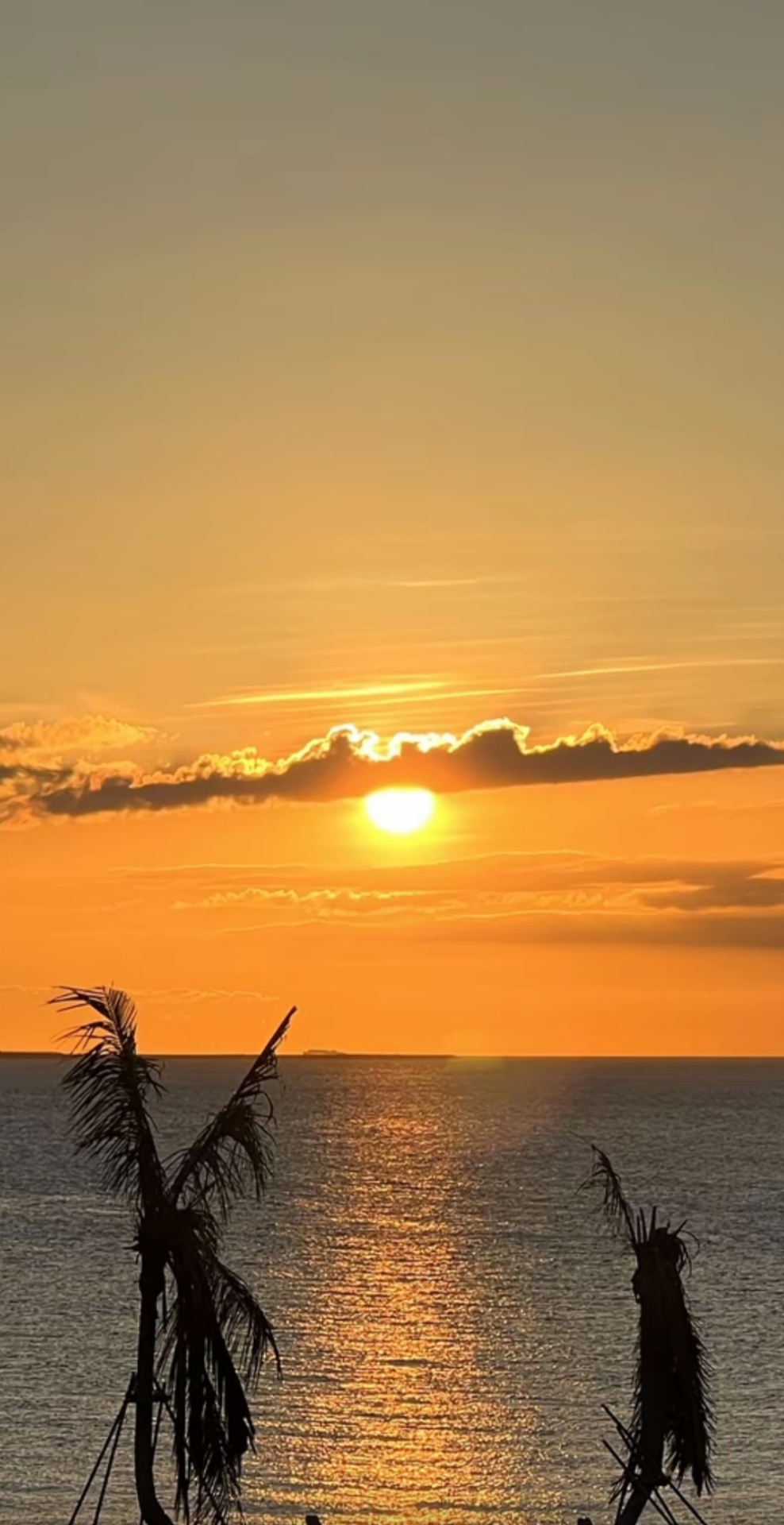 夕阳