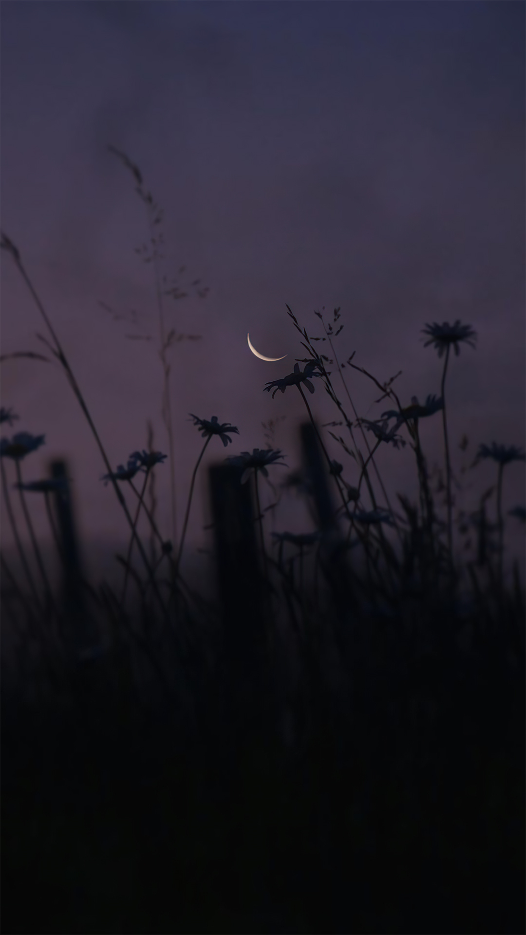 夜晚