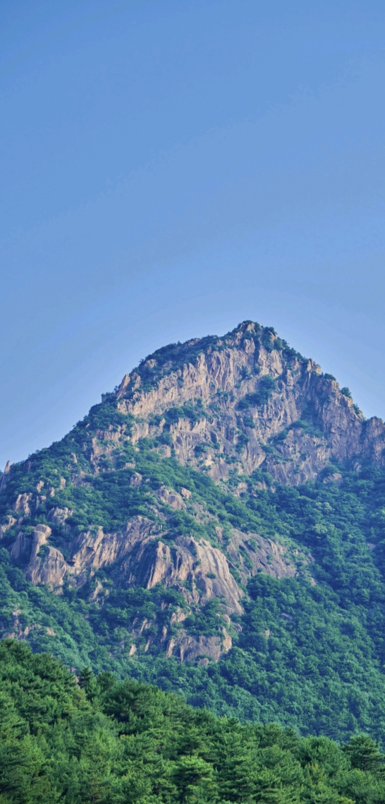 山上的風景