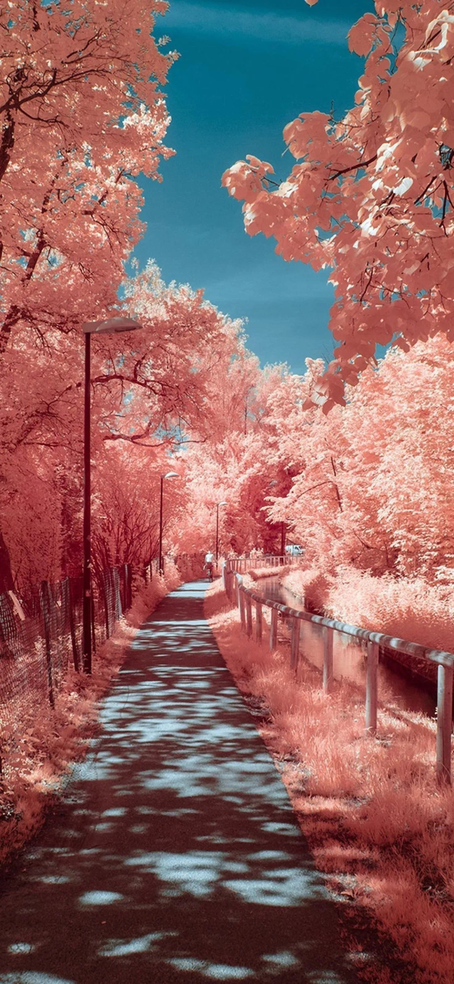 手机微信背景图片街景