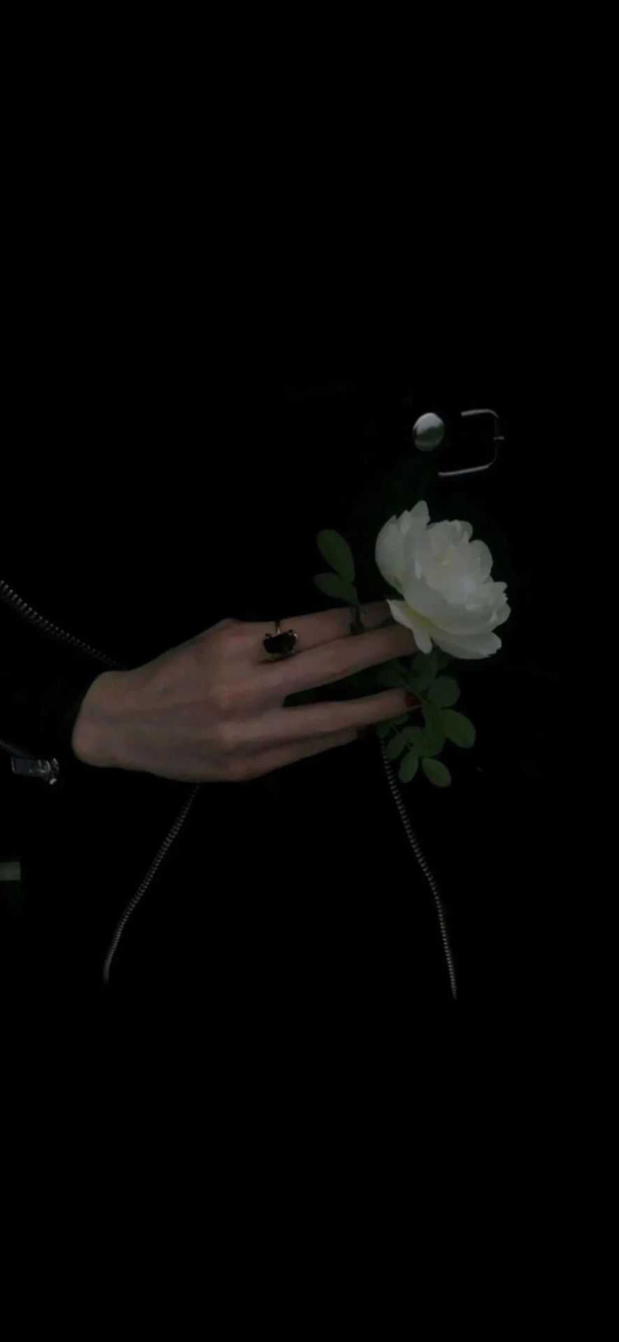 白色的花