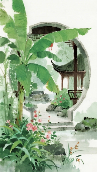 芭蕉叶