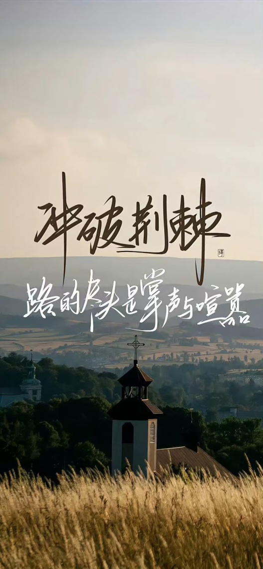 衝刺荊棘