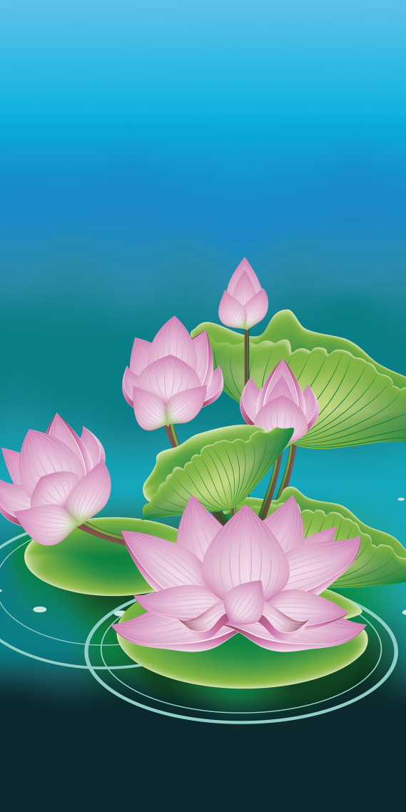 夏天荷花&清新插画12