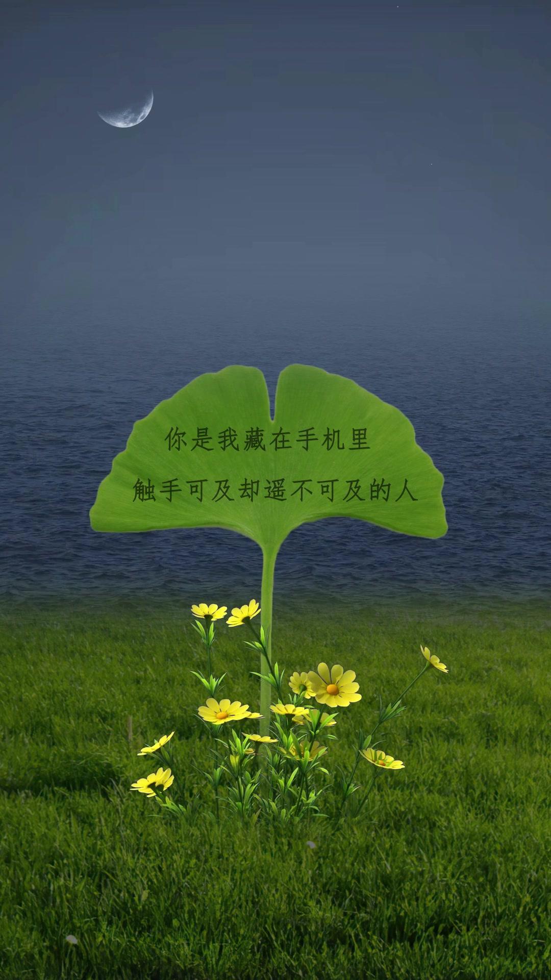 觸不可及