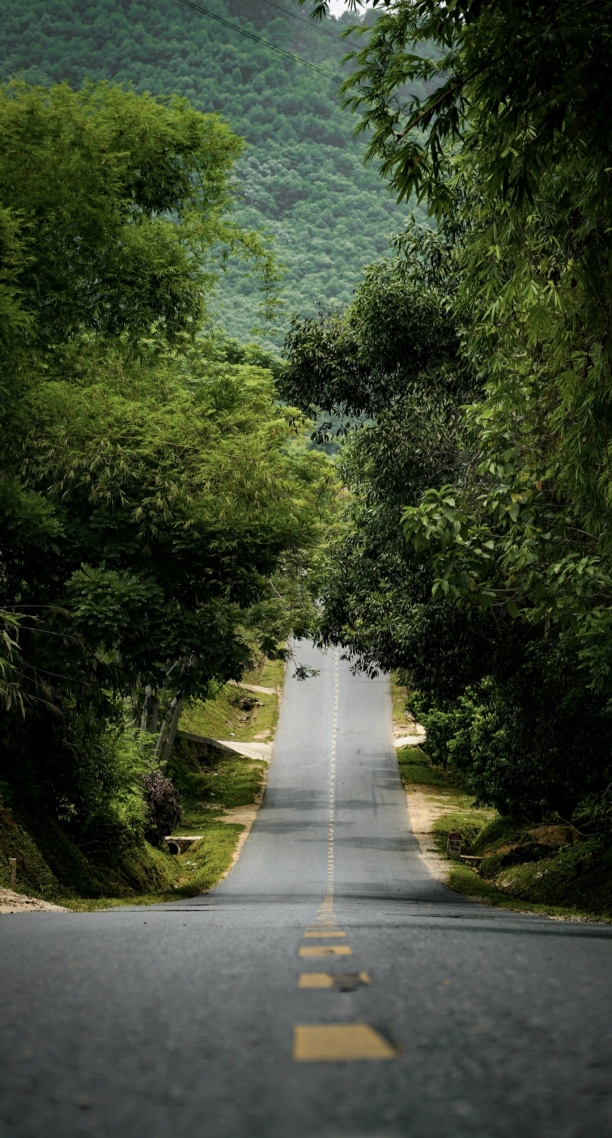 唯美回家的路