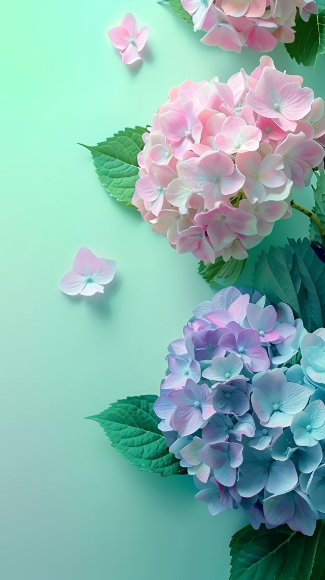 绿色清新护眼绣球花