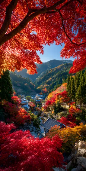 秋染山居