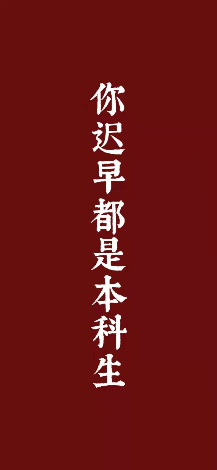 你遲早都是本科生微信聊天背景超清