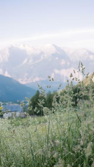 清新自然护眼风景