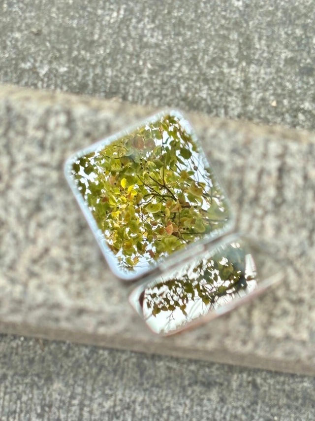 镜子里的夏天