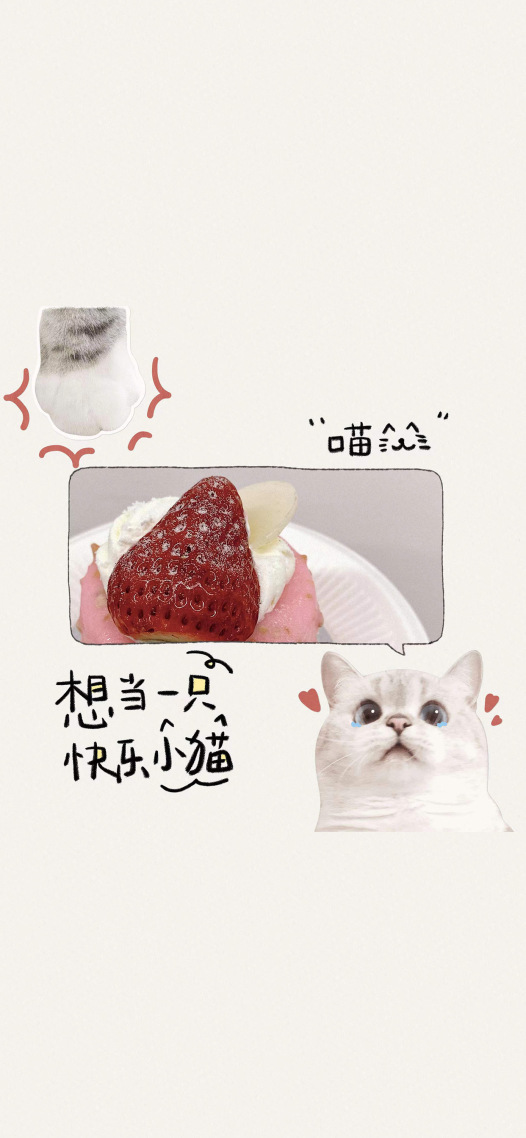 快乐小猫