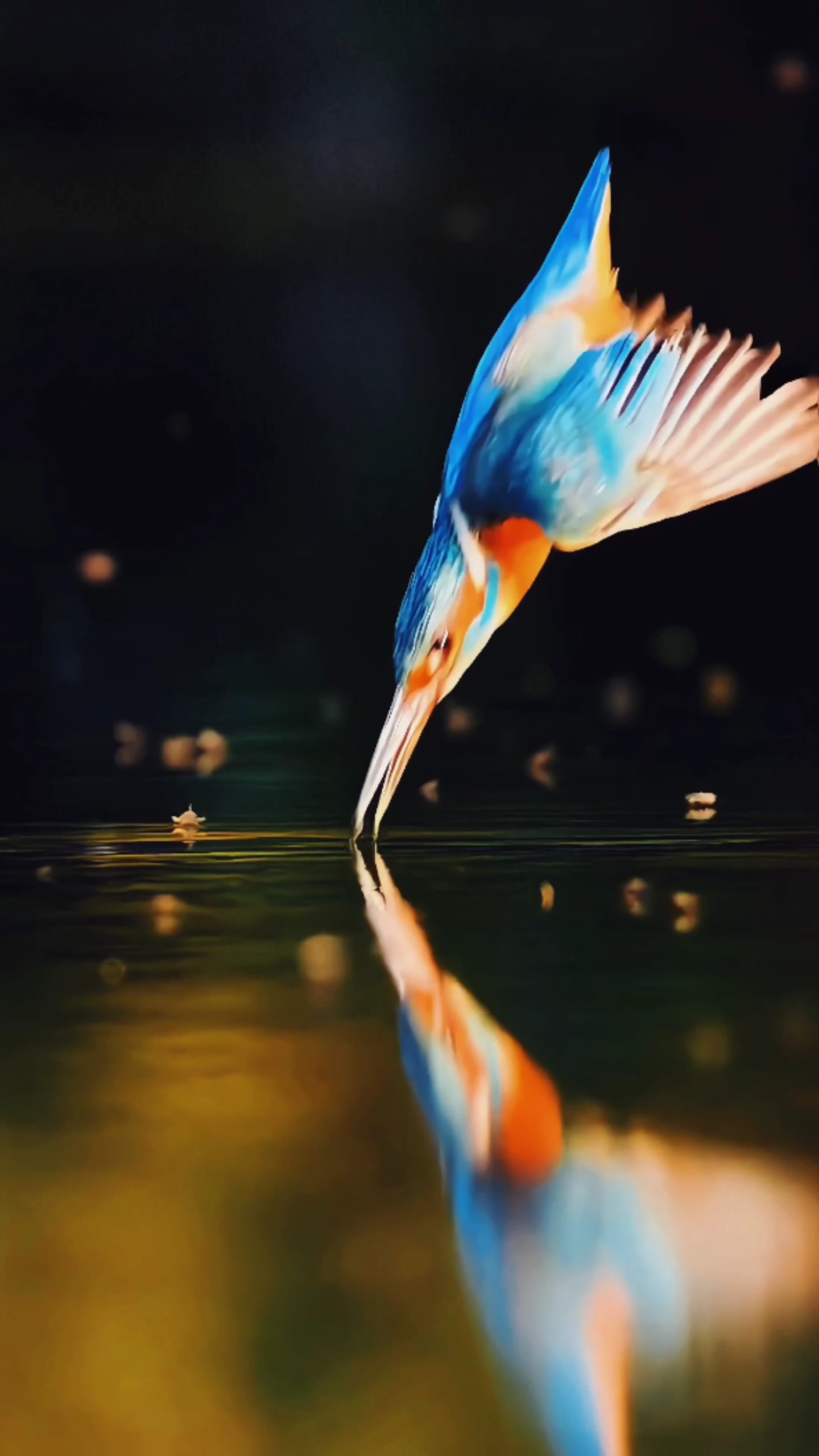 翠鳥