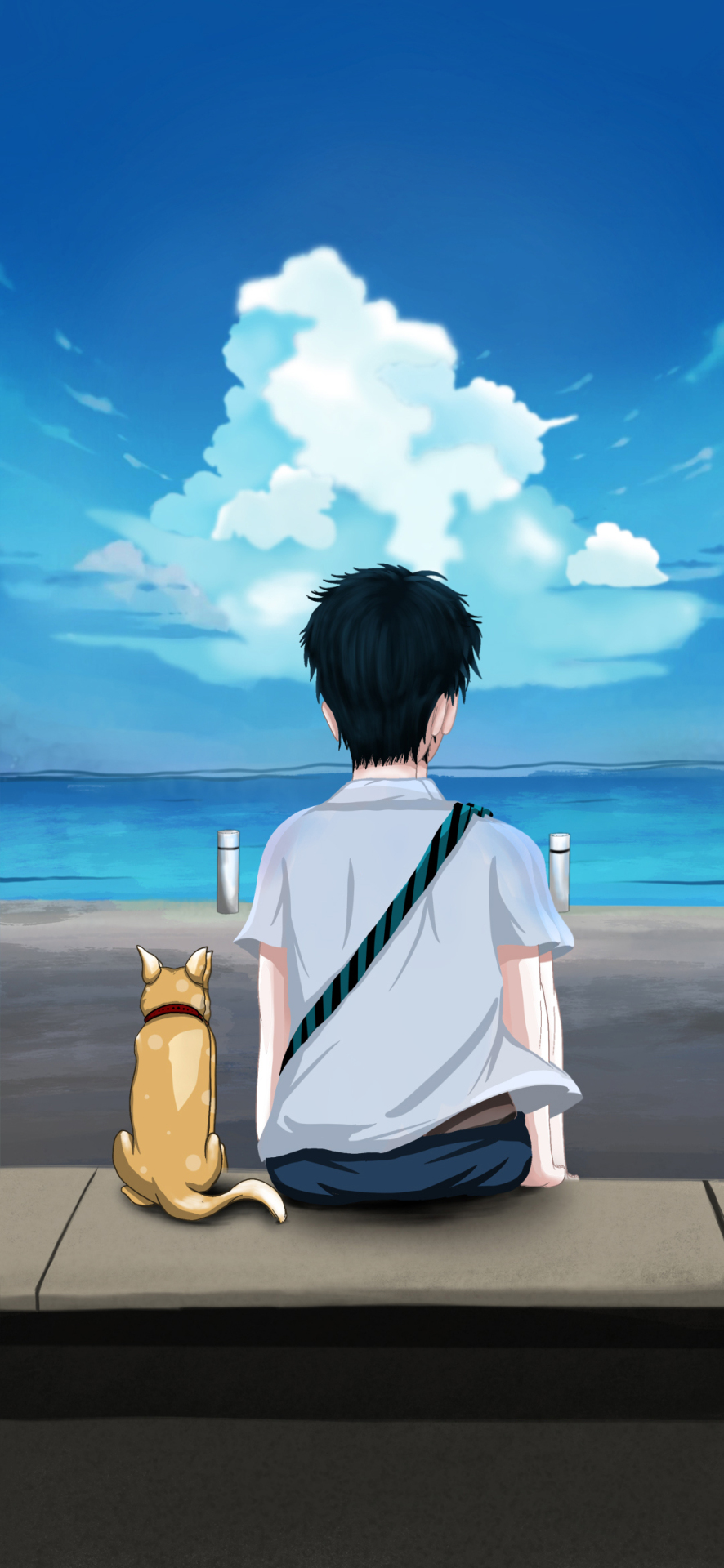 男天空