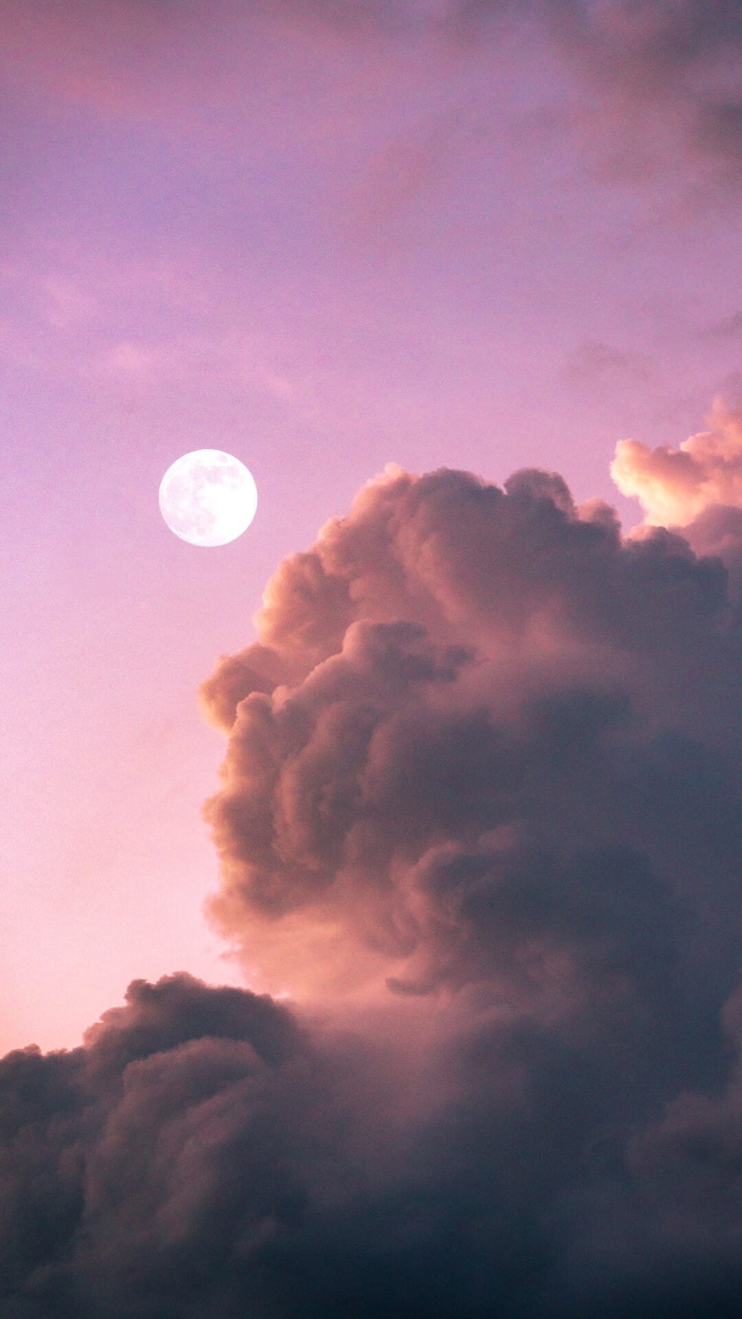 美