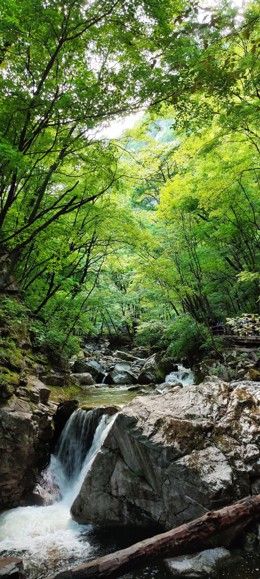 夏日山景