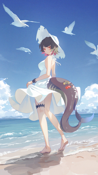 绝区零艾莲乔