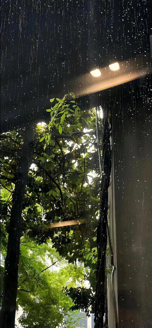 灯雨
