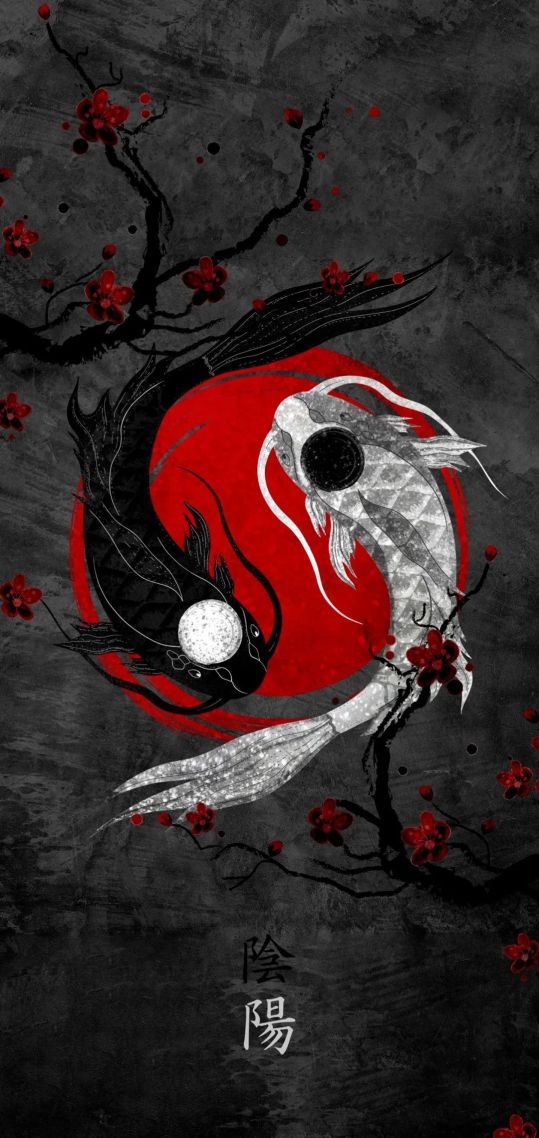 微信壁紙負陰抱陽 陰陽魚