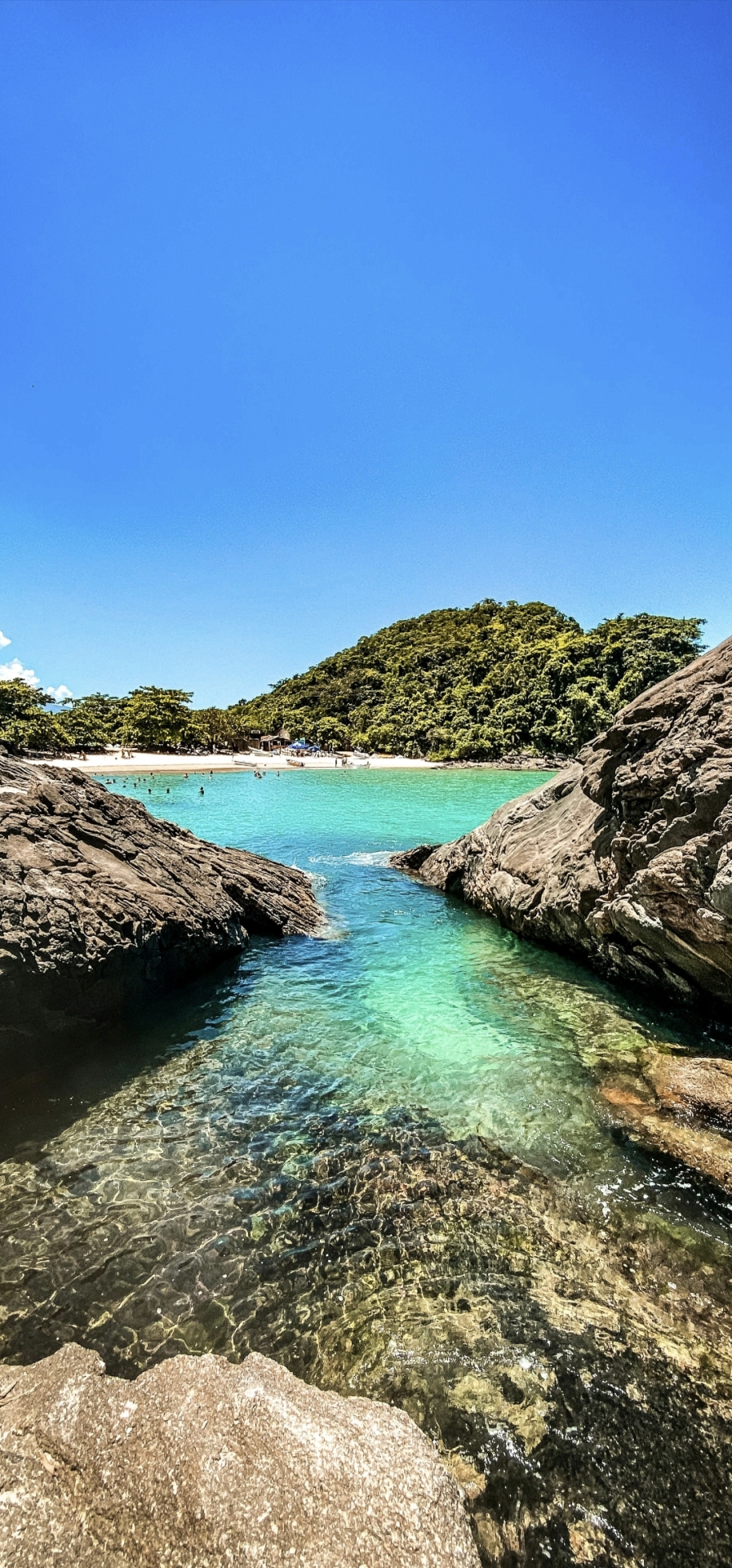 自然風景