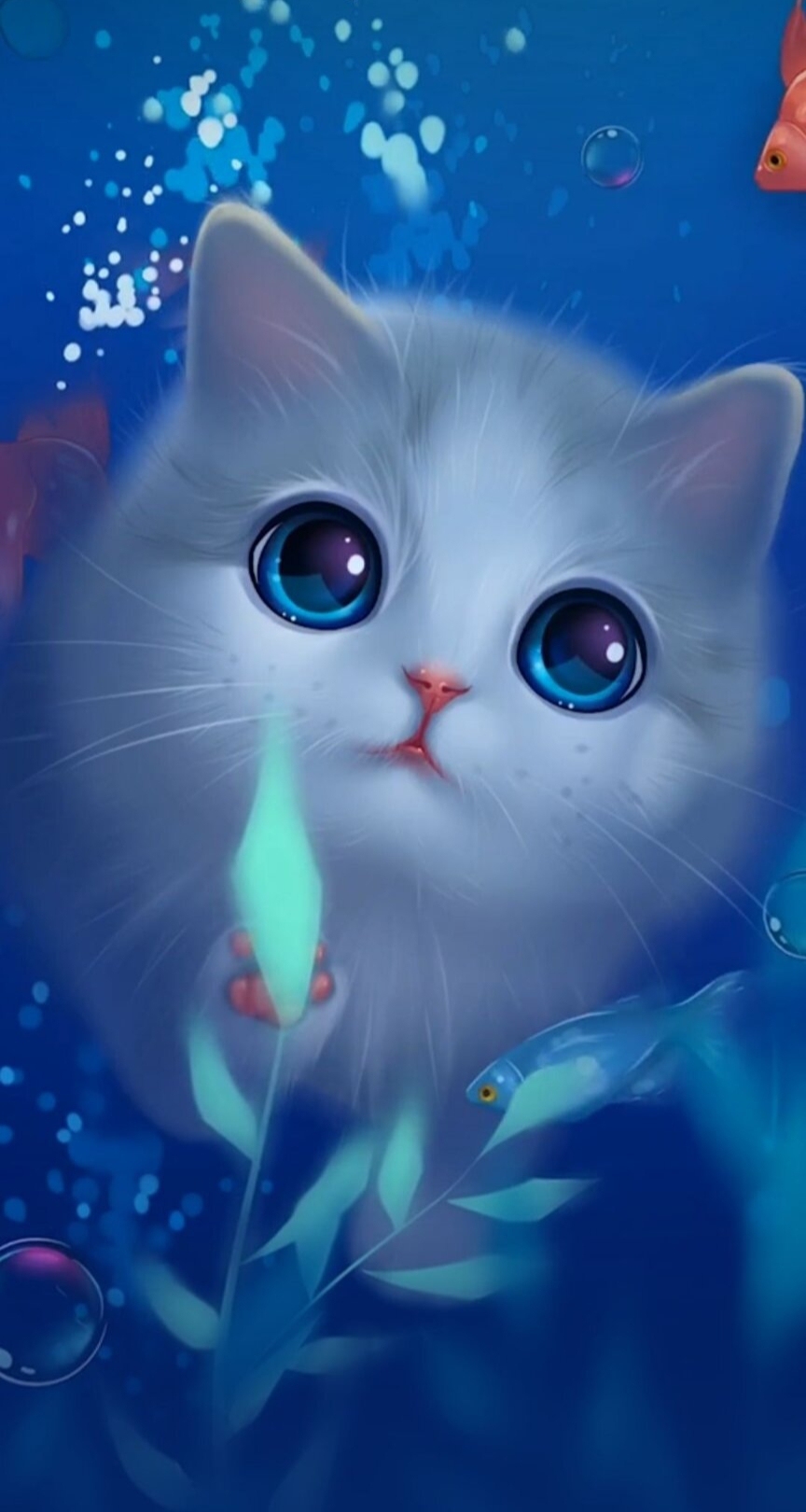 海底貓