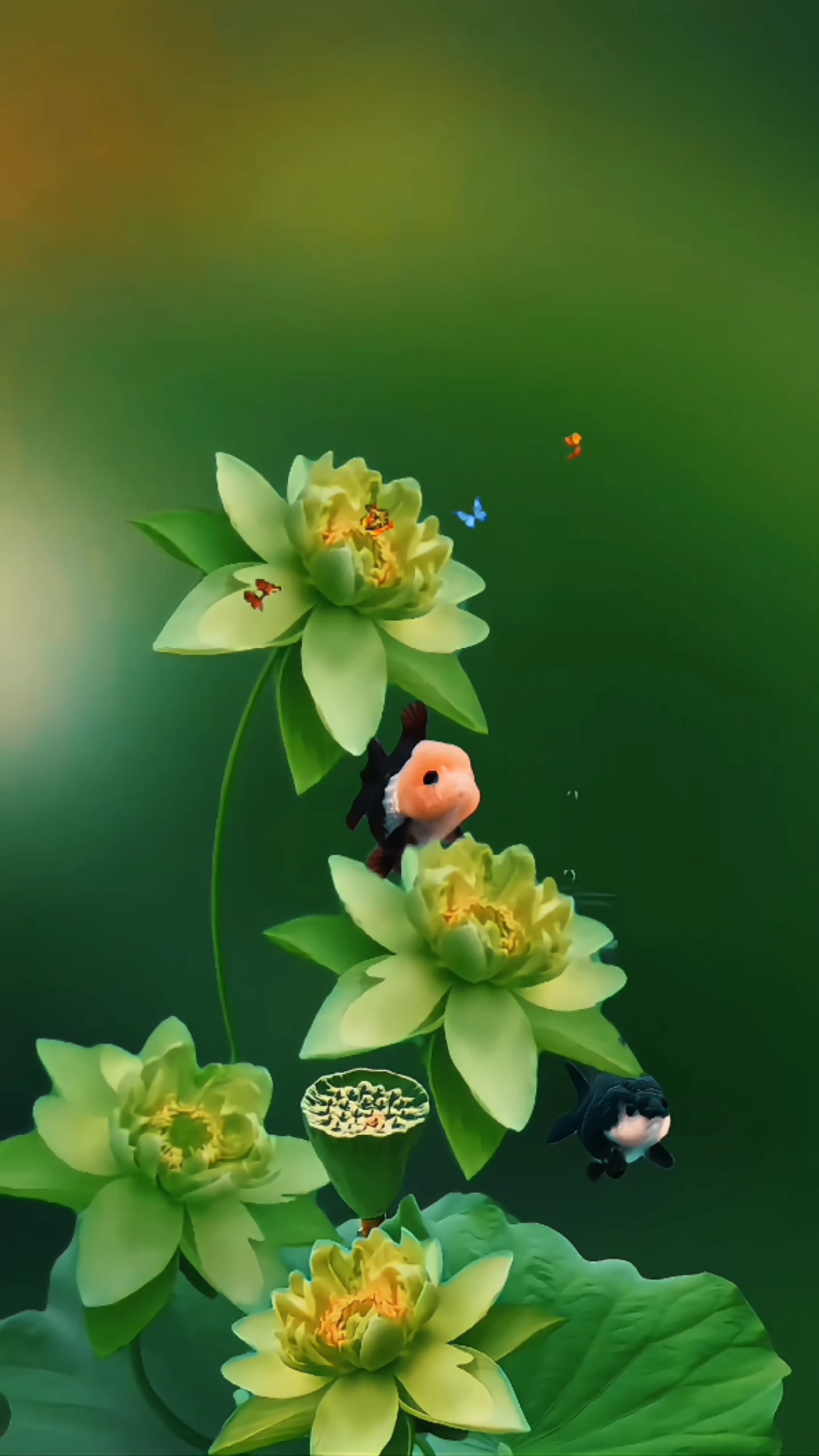 可愛的小金魚4k