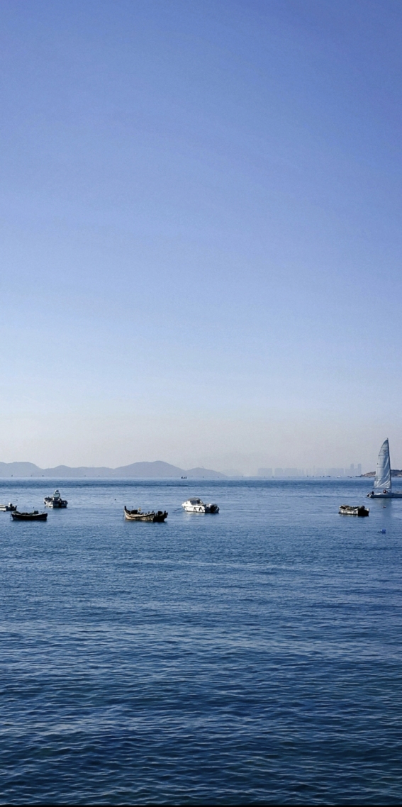 大海