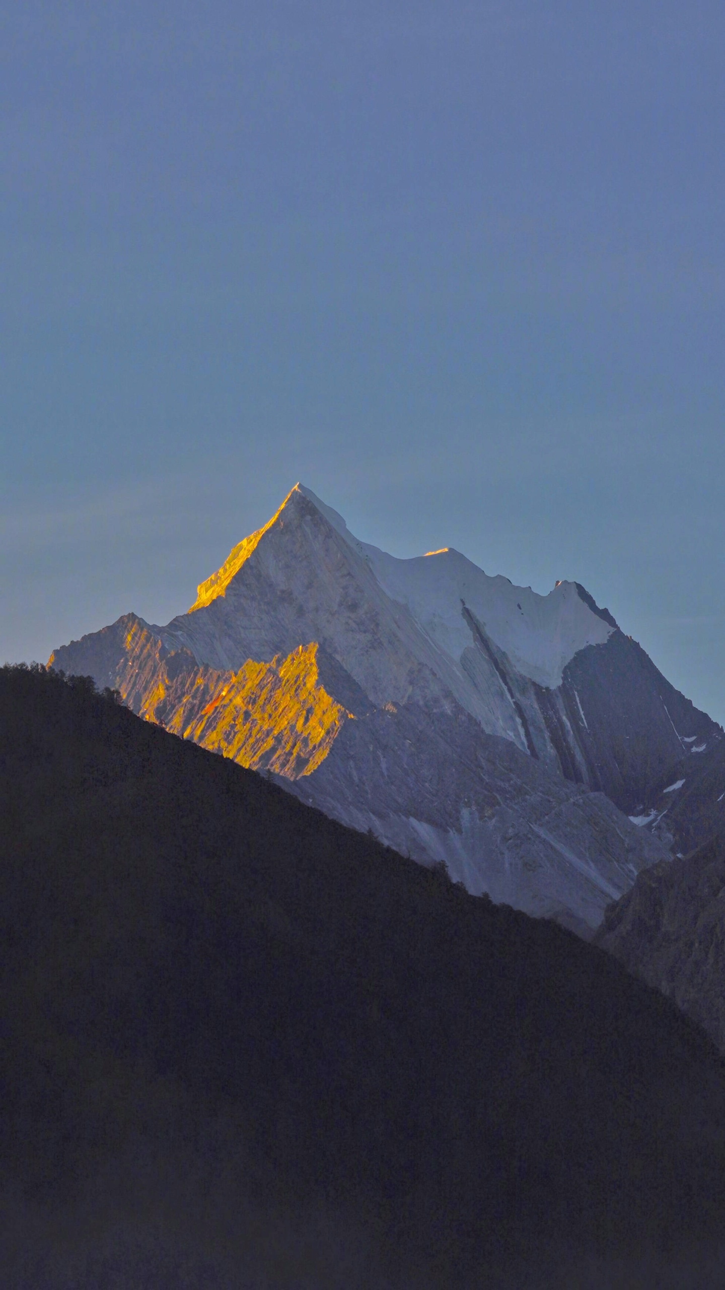 山