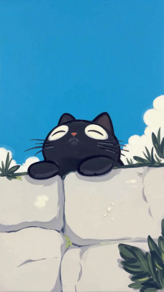 墙上的猫猫
