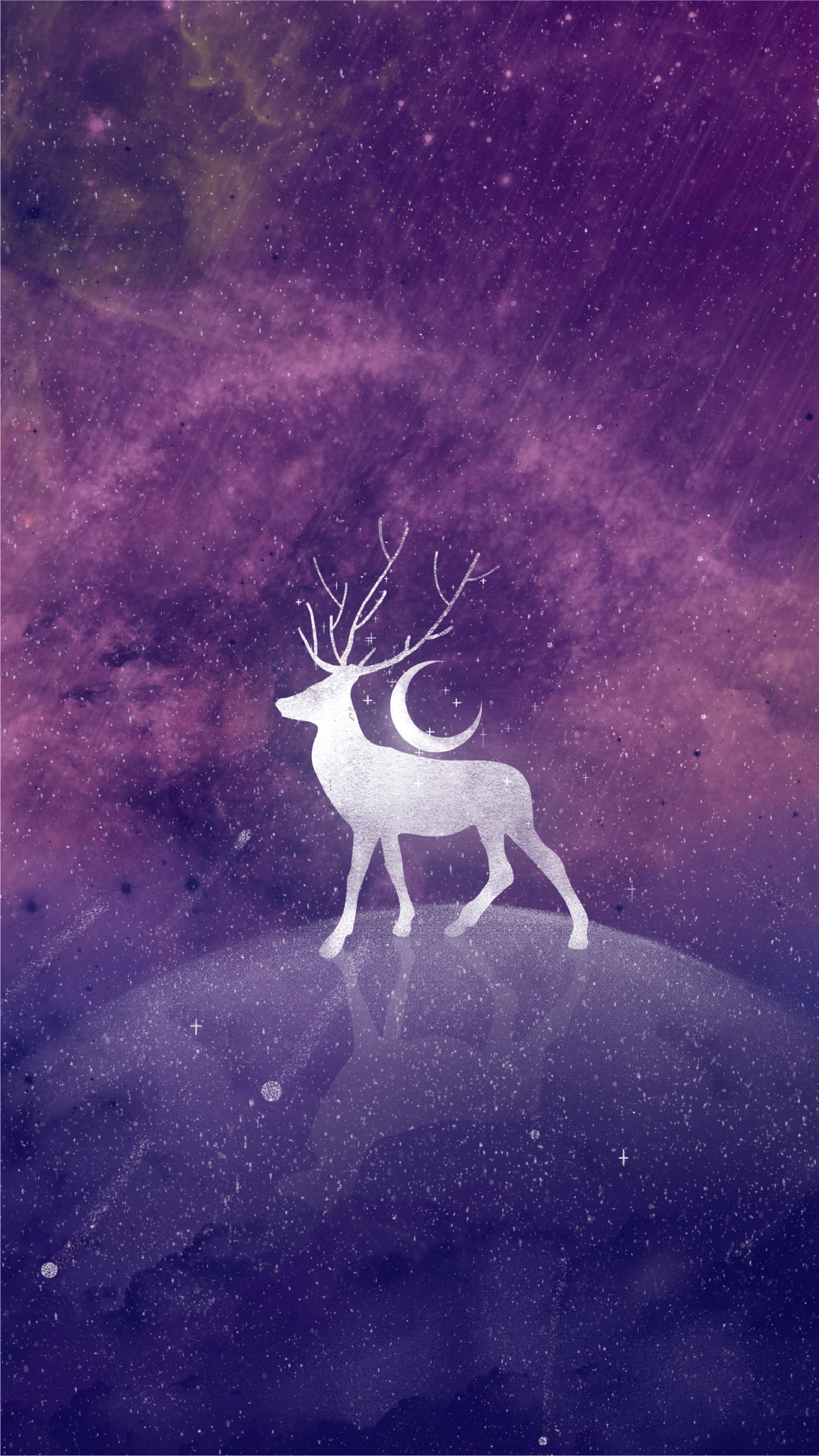  紫空幻月 
