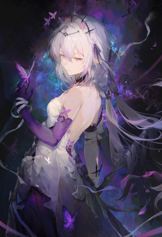 遐蝶