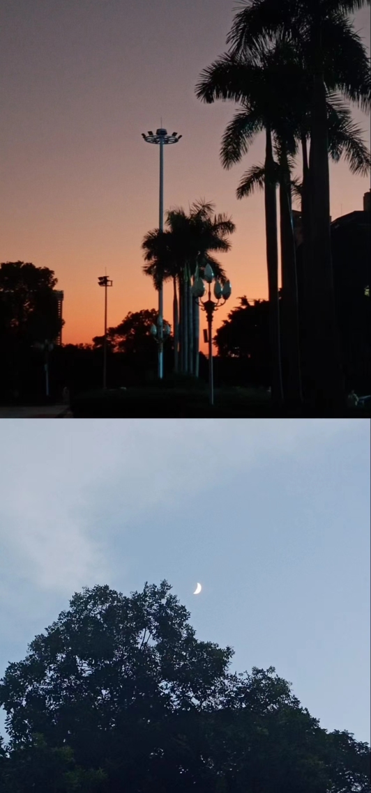 心动一夏