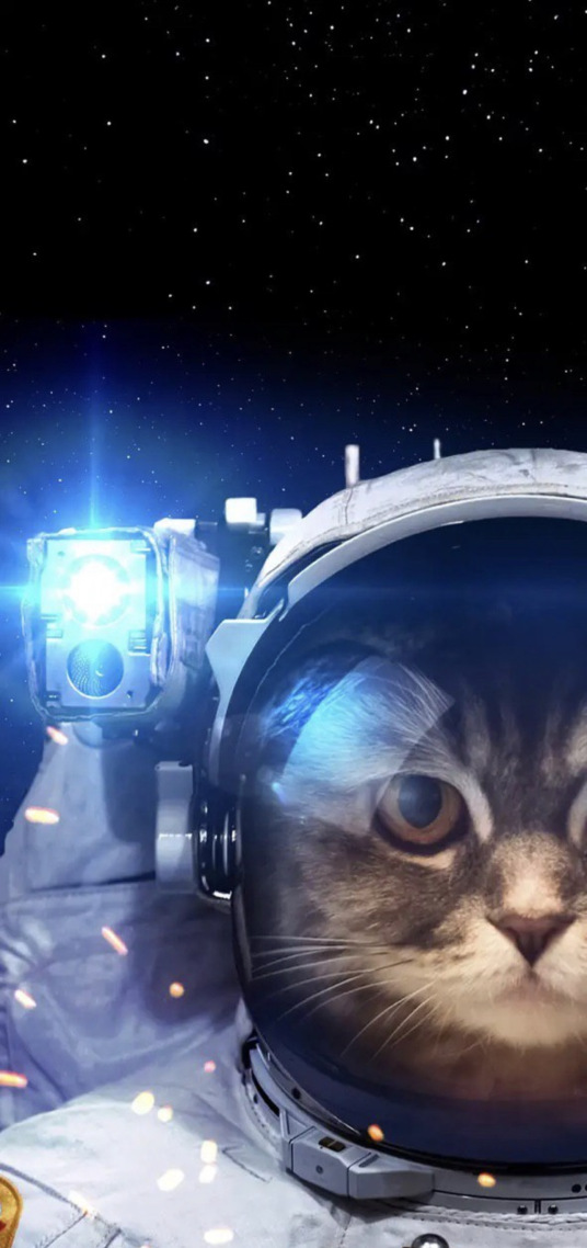 宇航员猫咪