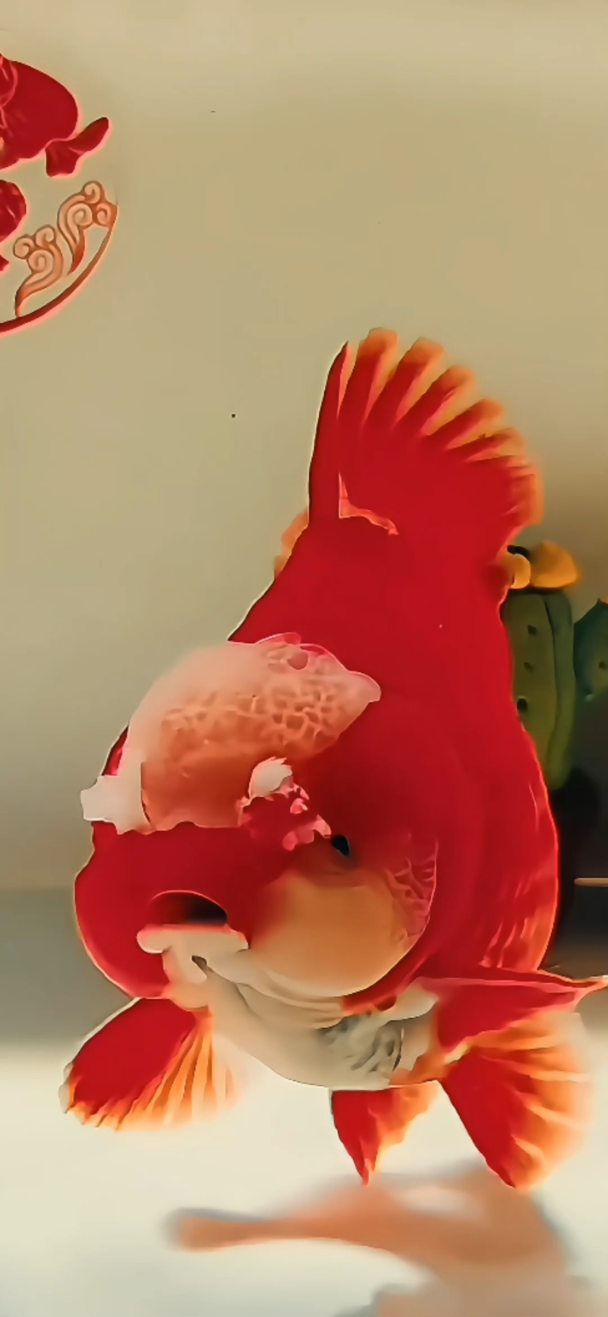 好運小金魚4k靜態壁紙
