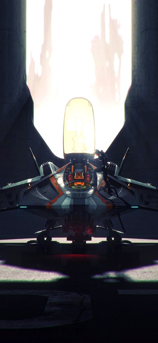Star Citizen-鎖屏