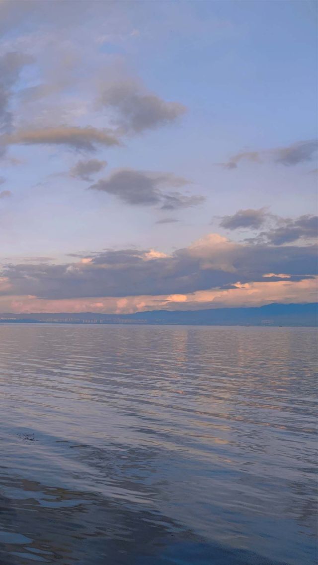 海一