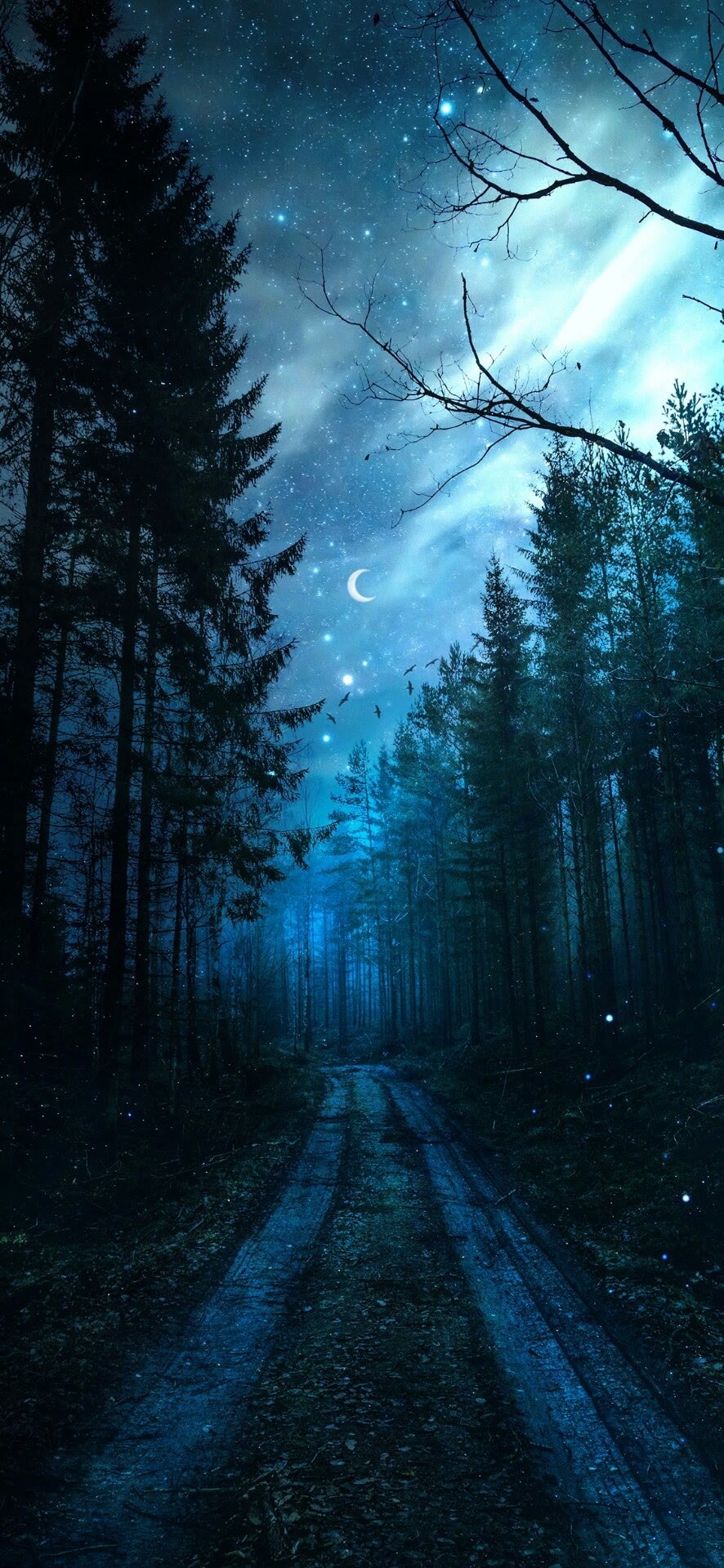 黎明彎月