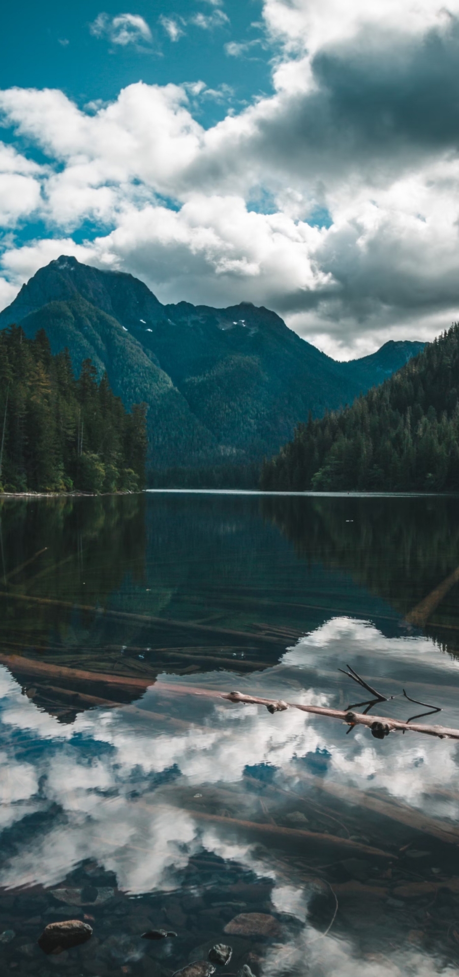 山水風景