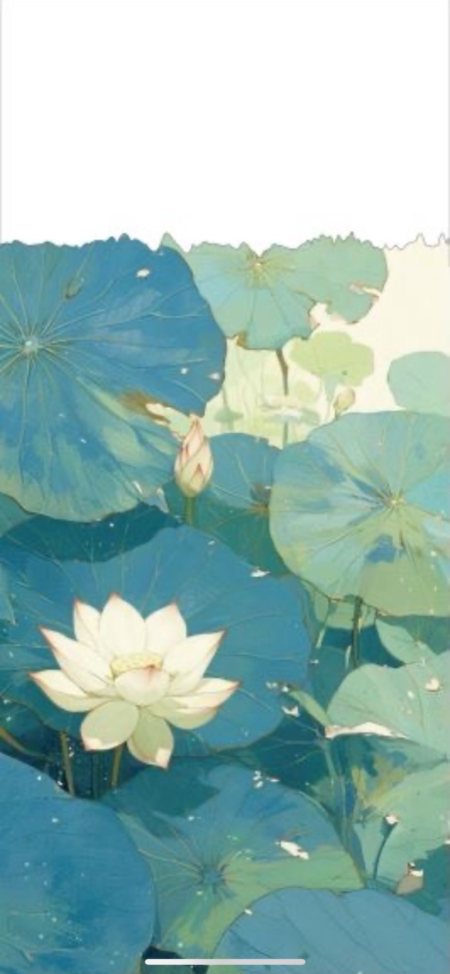 野荷