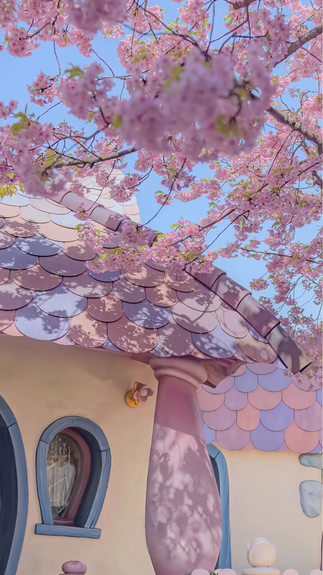 樱花烂漫