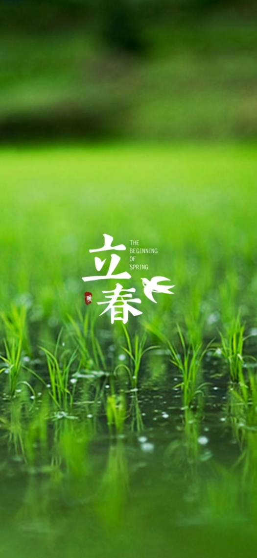 手機屏保壁紙立春