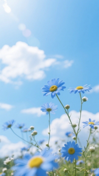 小蓝花