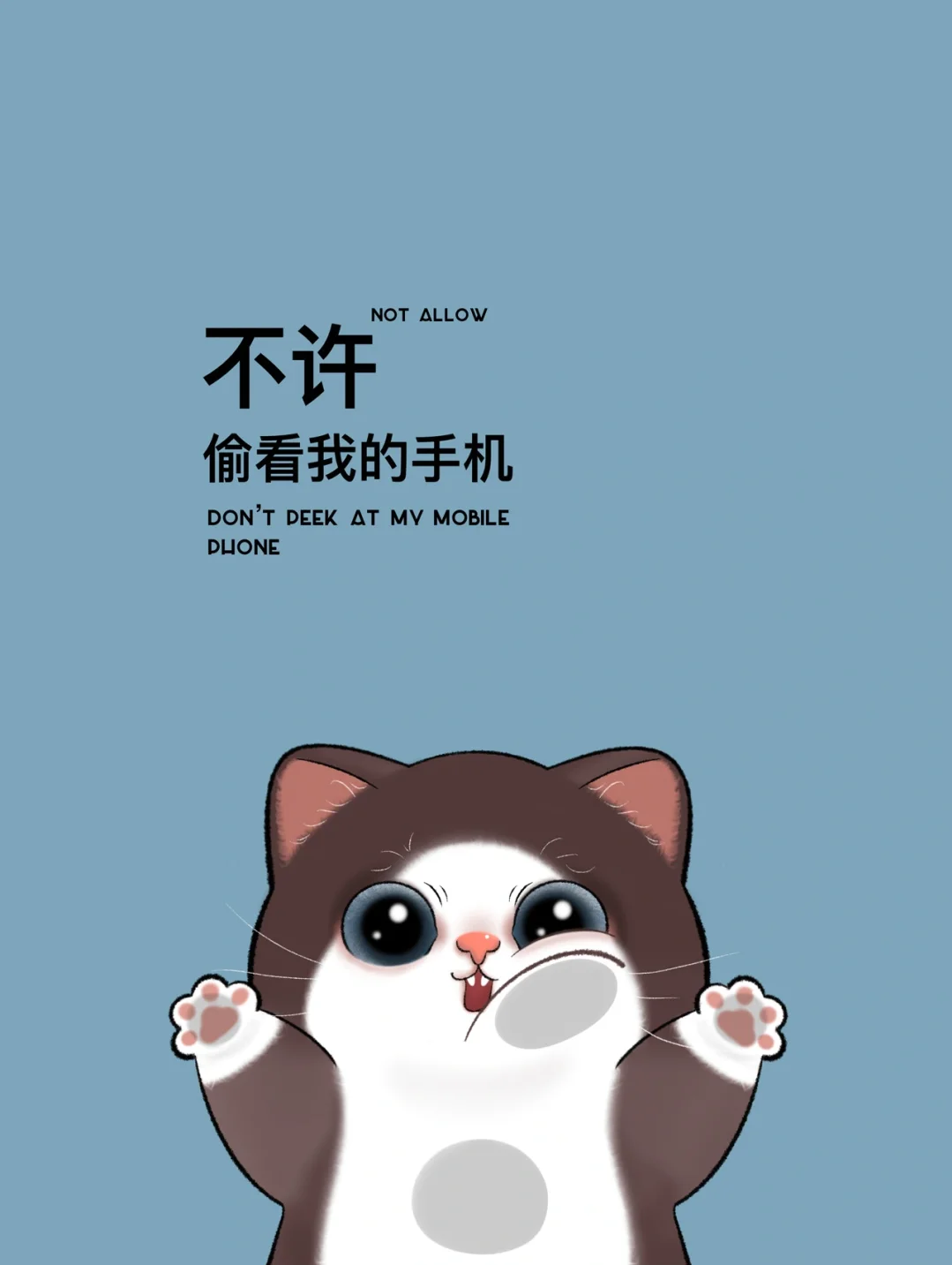 不許偷看我的手機