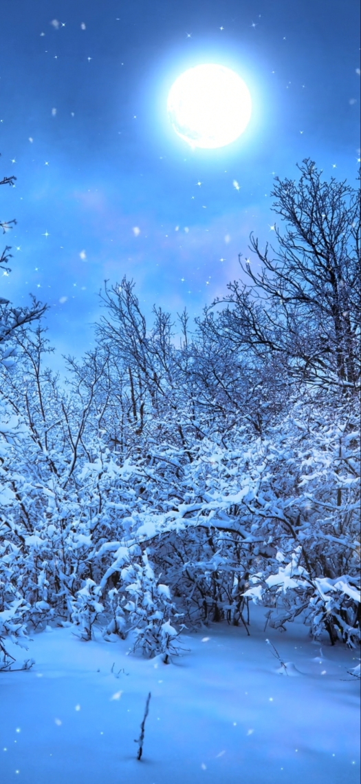 月光冬雪(风景手机静态壁纸) - 风景手机壁纸下载 - 元气壁纸