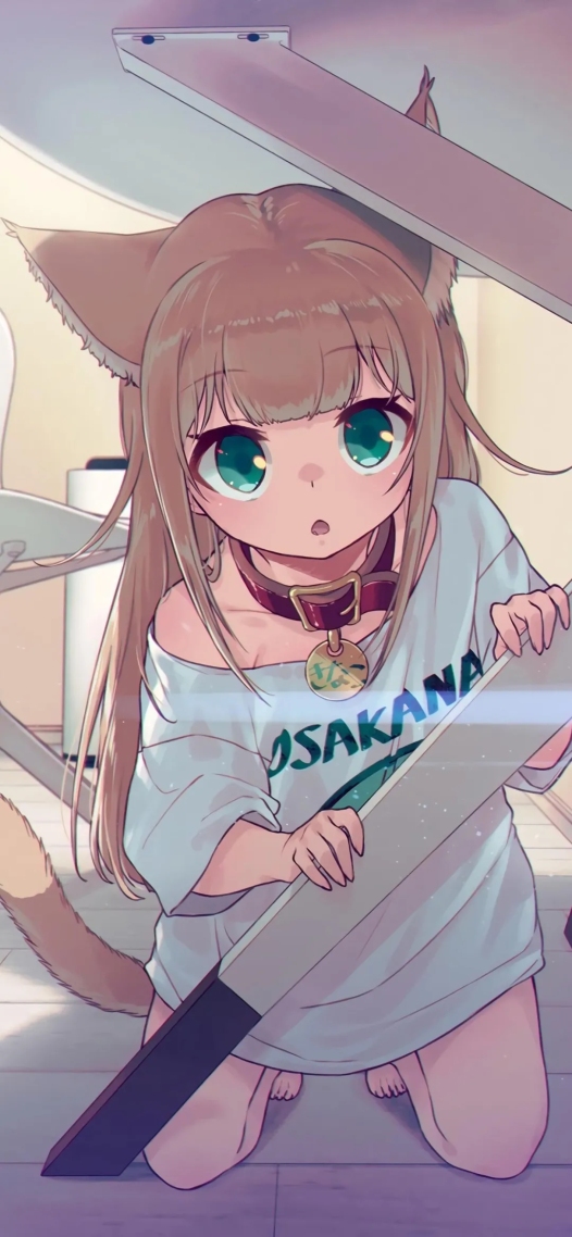 四十原猫娘

